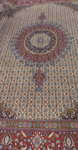Charger l'image dans la galerie, Grand Tapis Moud fait main n°15601_298×248