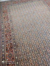 Charger l'image dans la galerie, Grand tapis Moud tissé main n°5523_299×196
