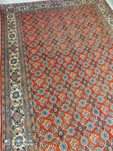 Charger l'image dans la galerie, Grand Tapis Varamine noué main n°15160_300×199