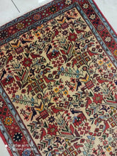 Charger l'image dans la galerie, Tapis Tafrech noué main n°17208_148×102