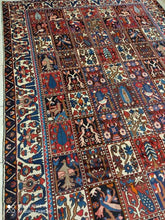 Charger l'image dans la galerie, Grand Tapis Bakhtiar fait main n°7800_312×205