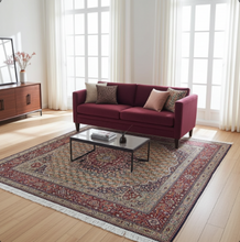 Charger l'image dans la galerie, Grand Tapis Moud fait main n°18466_290×200
