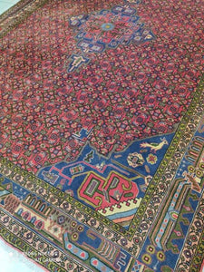 Grand Tapis Bidjard noué main n°14961_297×206