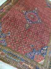 Charger l&#39;image dans la galerie, Grand Tapis Bidjard noué main n°14961_297×206
