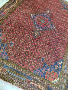 Grand Tapis Bidjard noué main n°14961_297×206