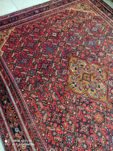 Grand Tapis Antique Hosseinabad tissé main n°11139_305×210