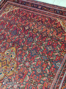 Grand Tapis Antique Hosseinabad tissé main n°11139_305×210