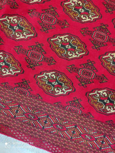 Grand Tapis Torkaman noué main n°151755_338×260