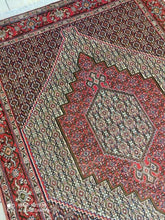 Charger l'image dans la galerie, Tapis Senneh tissé main n°19517_170×127
