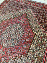 Charger l'image dans la galerie, Tapis Senneh tissé main n°19517_170×127
