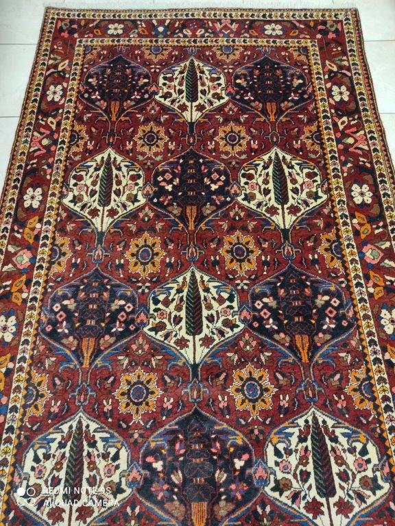 Tapis Chahrekord fait main n°16055_252×150