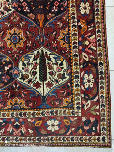 Tapis Chahrekord fait main n°16055_252×150