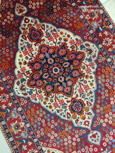 Tapis Bakhtiar tissé main n°8270_262×152