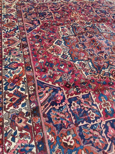 Grand Tapis Bakhtiar tissé main n°17392_355×305